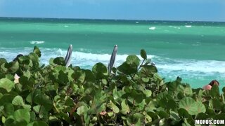 Pervs On Patrol - Cruising the Schoolyard Crush - 02/07/2013