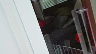 Pervs On Patrol - Big Titty Teen Begs For It - 09/01/2015