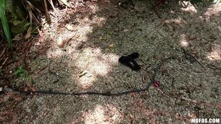 Stranded Teens - Girl On Treetop - 09/22/2018