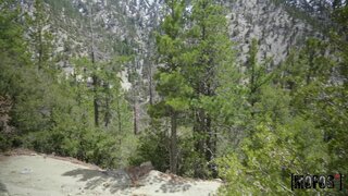Pervs On Patrol - Natural Habitats - 06/05/2019
