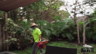 Let's Post It - Yard Workers - 05/07/2024