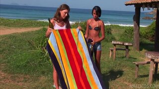 Just Anal - Foursome Anal in the Jungle - 10/10/2022