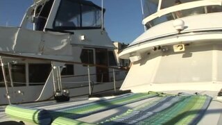 Milfs Like it Big - Yacht orgy! - 09/10/2007