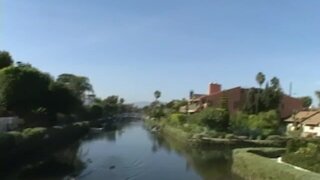 Asses In Public - Wild Boricuas! - 12/06/2007