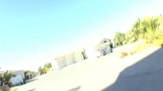 Pornstars Like it Big - Agent Swede looking for Justice - 01/14/2008