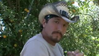 Big Wet Butts - The Devine Booty - 04/04/2008