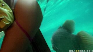 Day With A Pornstar - Field Trip Fuck - 01/23/2010