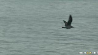 Real Wife Stories - Marital Demise - 05/07/2012